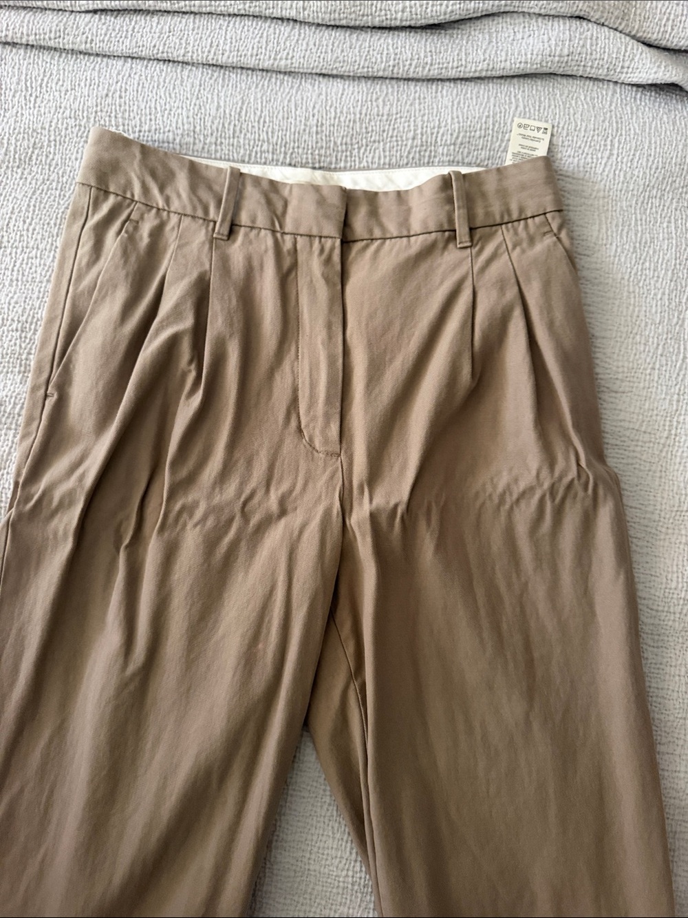 Aritzia Men's Pleated Chinos in Light Brown
